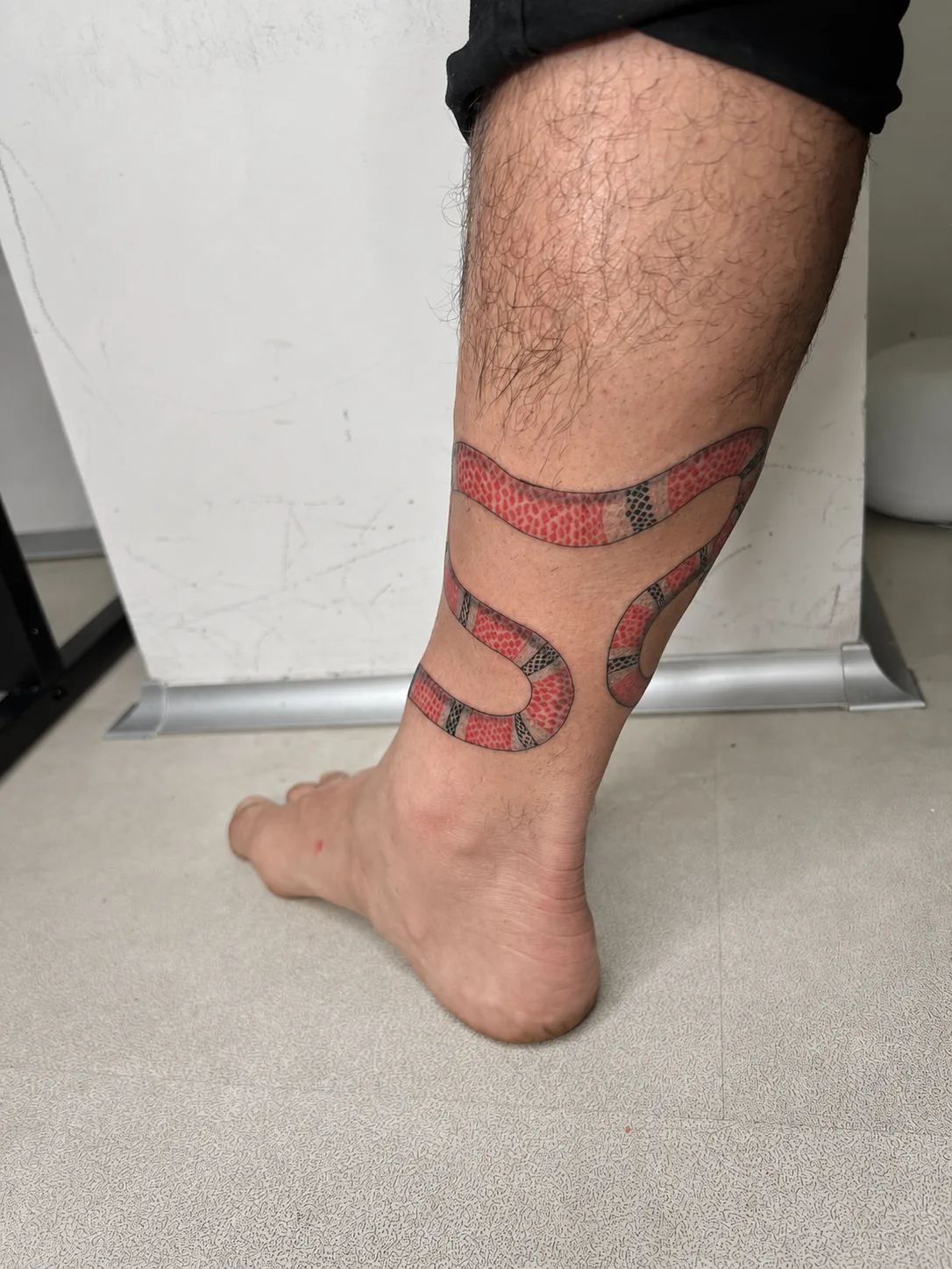 Serpiente a color (foto 1 / 4)