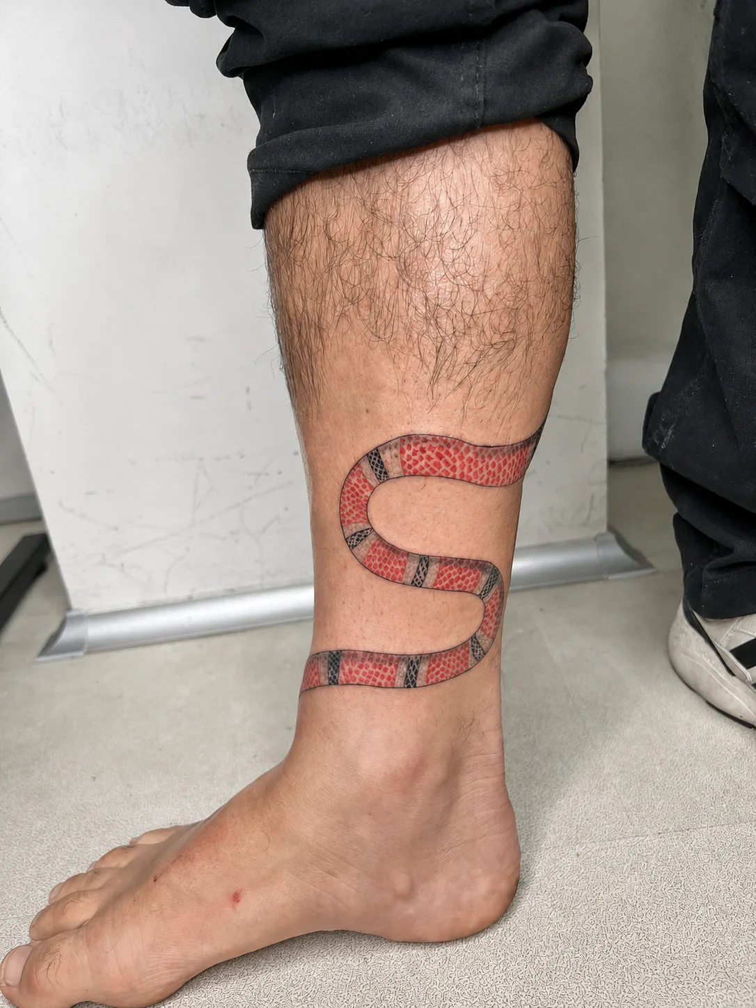 Serpiente a color (foto 2 / 4)