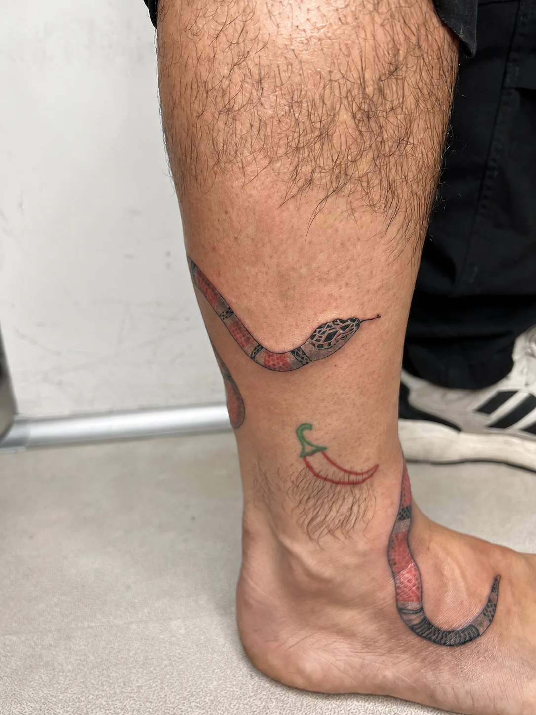 Serpiente a color (foto 4 / 4)