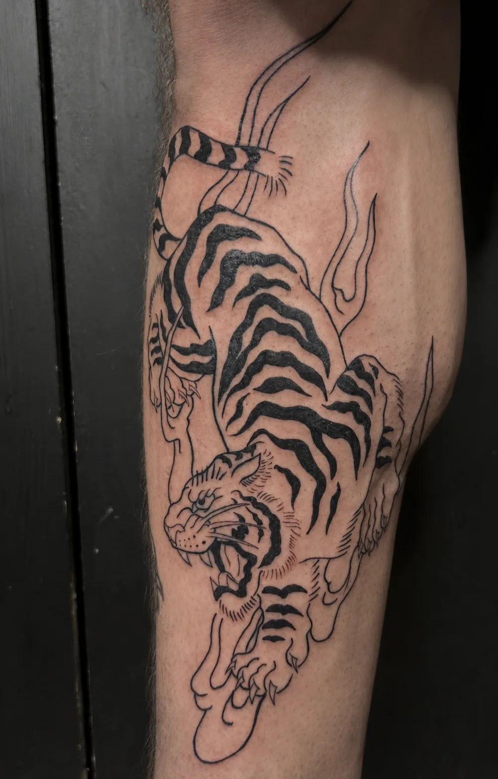 Tigre Tradi